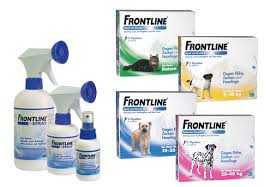 Frontline Spot Katze 6 Stk