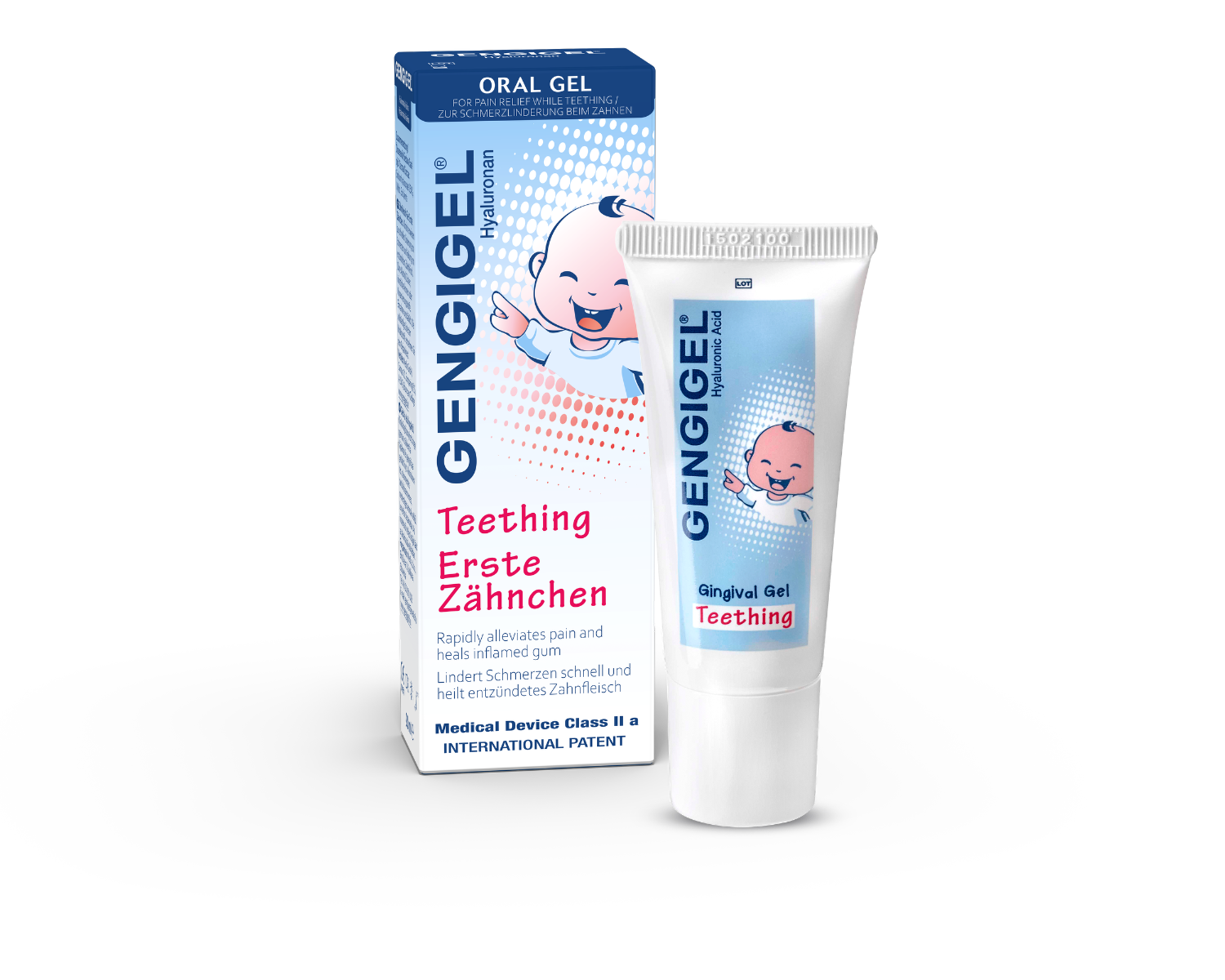 Gengigel Erste Zähnchen