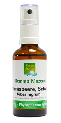 Phytopharma Johannisbeere Spray Gemmomazerat 100ml