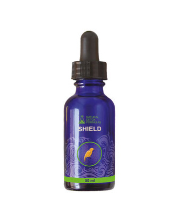 Shield Detox Tropfen 50ml