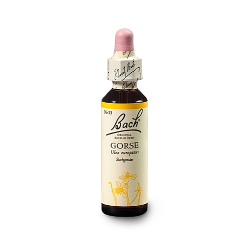 Bachblüten Nr.13-  Gorse 20 ml